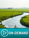 Harnessing AI and Machine Learning for Advancements in Water Resources Engineering and Quality Management (OTIEWR245) Primary Topic Environmental & Water Resources